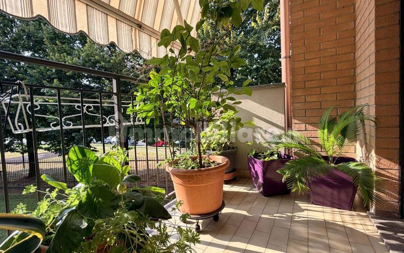 Quadrilocale via Santa Caterina 8, Taccona, Muggiò — foto 38 di 43