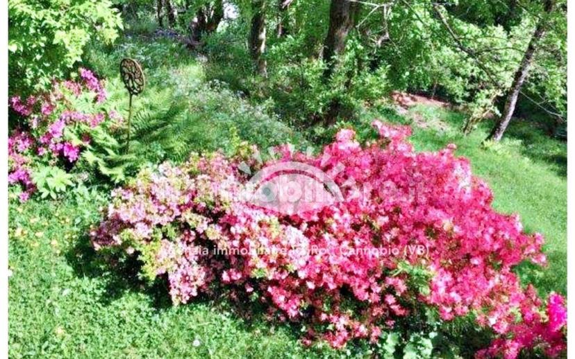 Casale, ottimo stato, 166 m², Gurro — foto 7 di 43