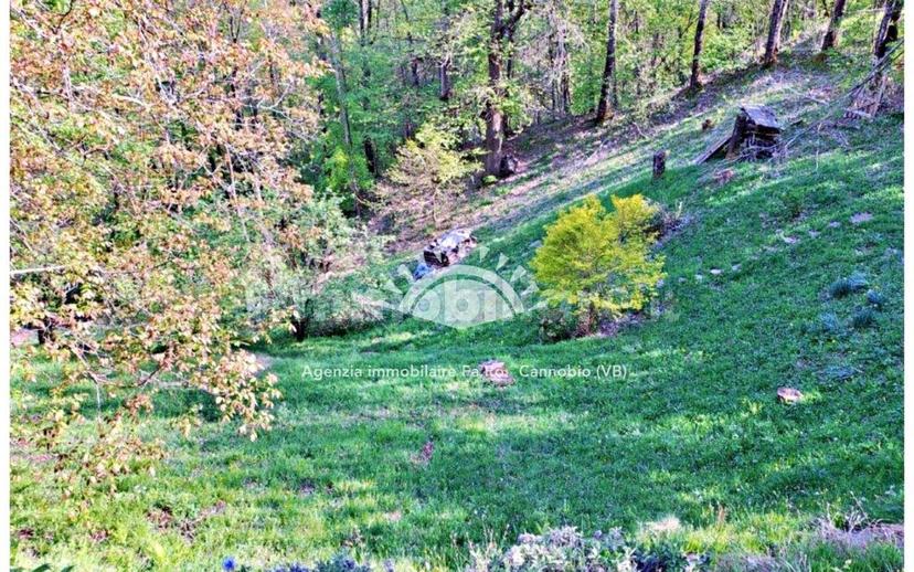Casale, ottimo stato, 166 m², Gurro — foto 14 di 43