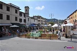 Attico via 4 Novembre 43, Camaiore Paese, Camaiore — foto 15 di 15