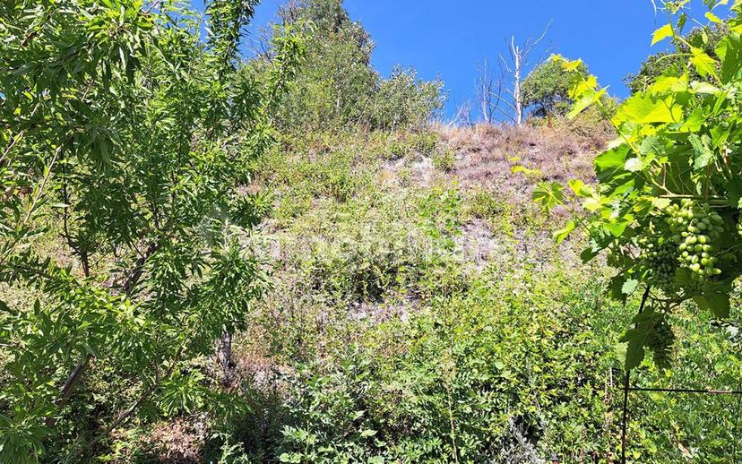 Villa bifamiliare frazione Closellinaz, Roisan — foto 51 di 100