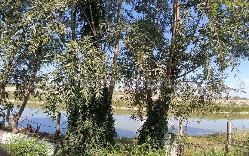 Quadrilocale via Garda Menata, Campotto, Argenta — foto 16 di 18