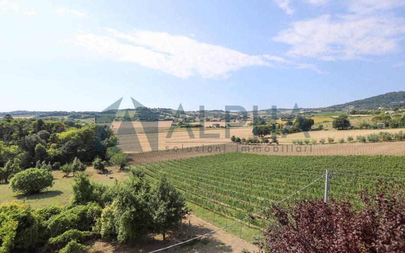 Trilocale via Consolare, Bertinoro — foto 20 di 20