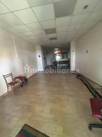 Trilocale San Elia, Pentone — foto 14 di 15