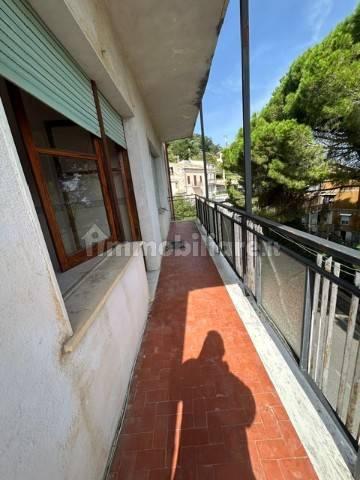 Trilocale San Elia, Pentone — foto 11 di 15