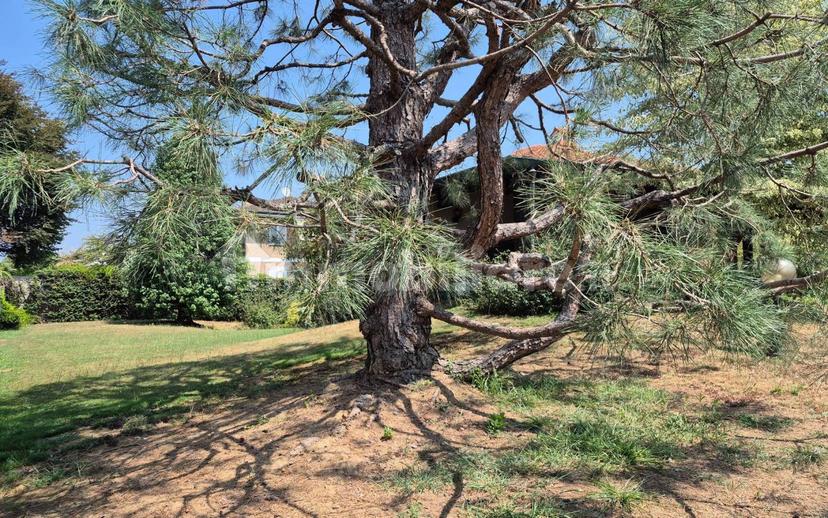 Villa unifamiliare via Libertà, Lazzate — foto 40 di 98
