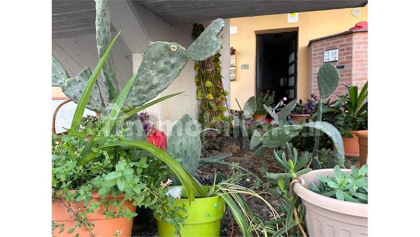 Bilocale via del Salsero 99, Montecatini-Terme — foto 14 di 30