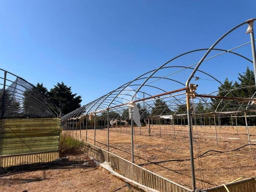Terratetto unifamiliare Contrada Caselle, Francavilla Fontana — foto 28 di 35
