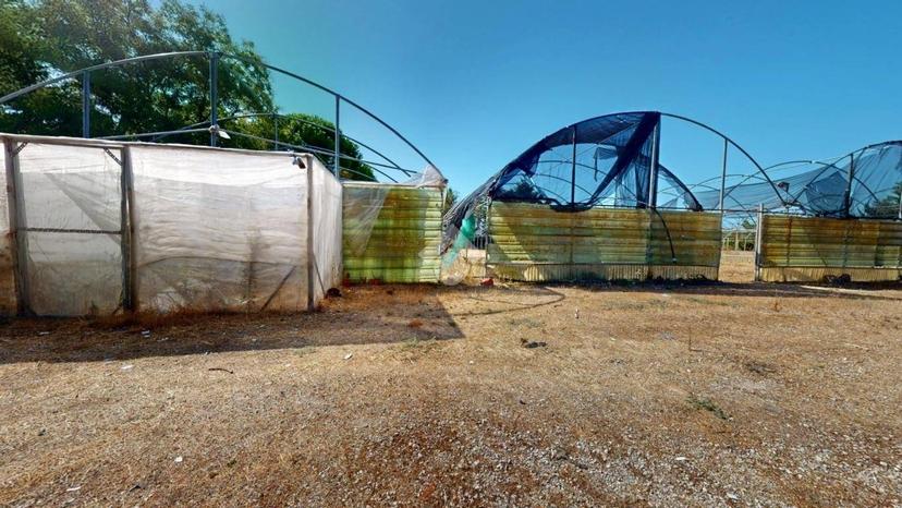 Terratetto unifamiliare Contrada Caselle, Francavilla Fontana — foto 30 di 35