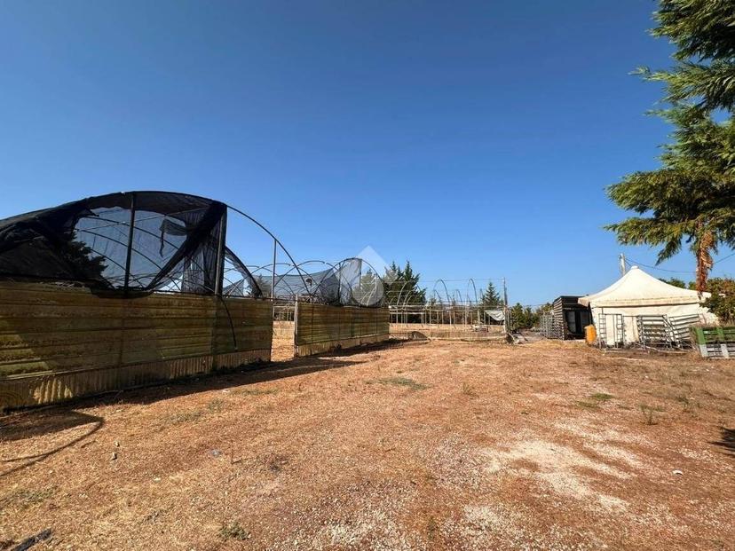 Terratetto unifamiliare Contrada Caselle, Francavilla Fontana — foto 26 di 35