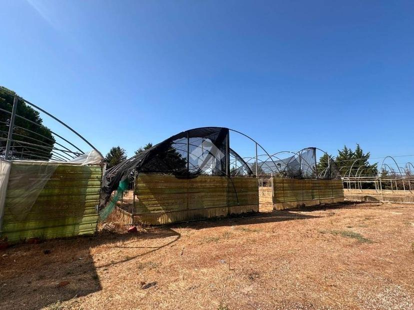 Terratetto unifamiliare Contrada Caselle, Francavilla Fontana — foto 25 di 35