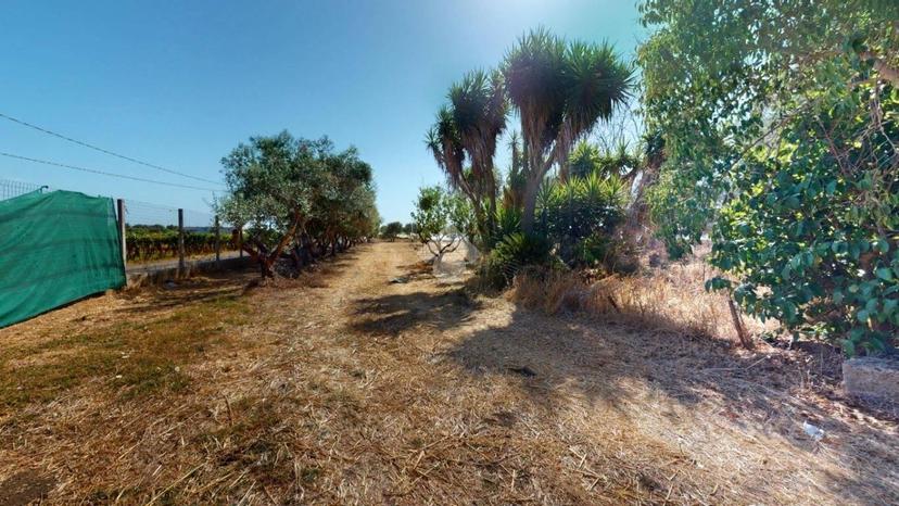 Terratetto unifamiliare Contrada Caselle, Francavilla Fontana — foto 34 di 35