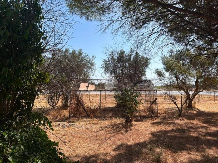 Terratetto unifamiliare Contrada Caselle, Francavilla Fontana — foto 20 di 35