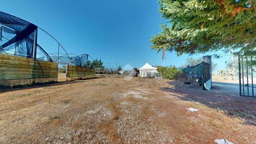 Terratetto unifamiliare Contrada Caselle, Francavilla Fontana — foto 33 di 35