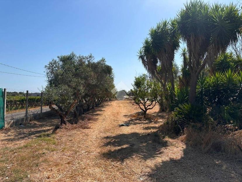 Terratetto unifamiliare Contrada Caselle, Francavilla Fontana — foto 22 di 35