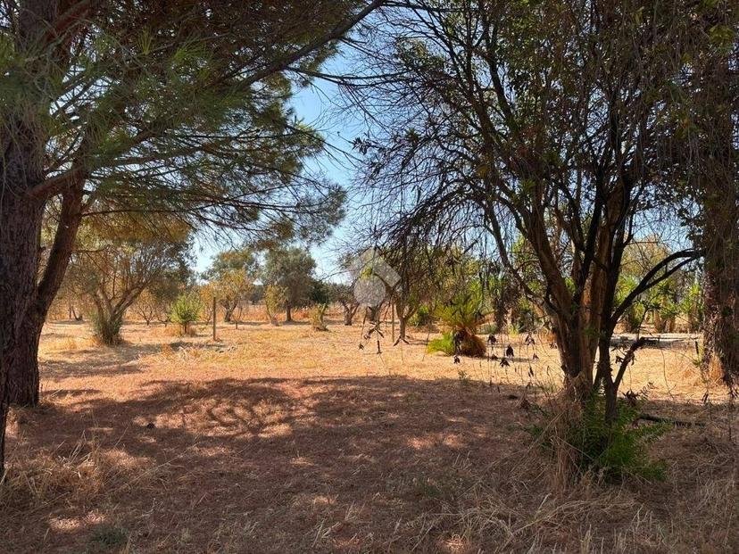 Terratetto unifamiliare Contrada Caselle, Francavilla Fontana — foto 12 di 35