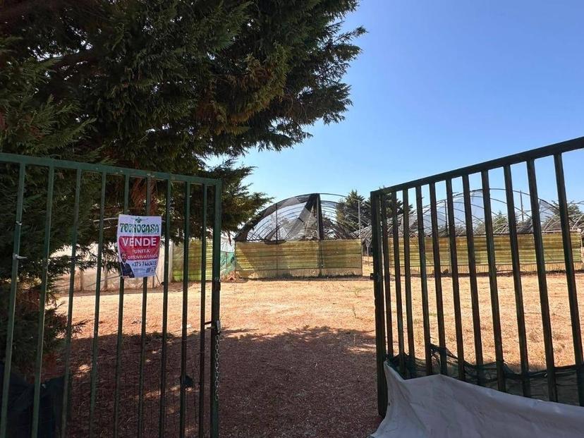 Terratetto unifamiliare Contrada Caselle, Francavilla Fontana — foto 6 di 35