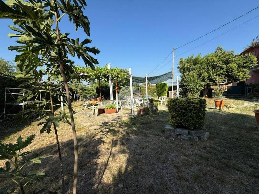 Terratetto plurifamiliare via Della Mola 5, Collevecchio — foto 5 di 19