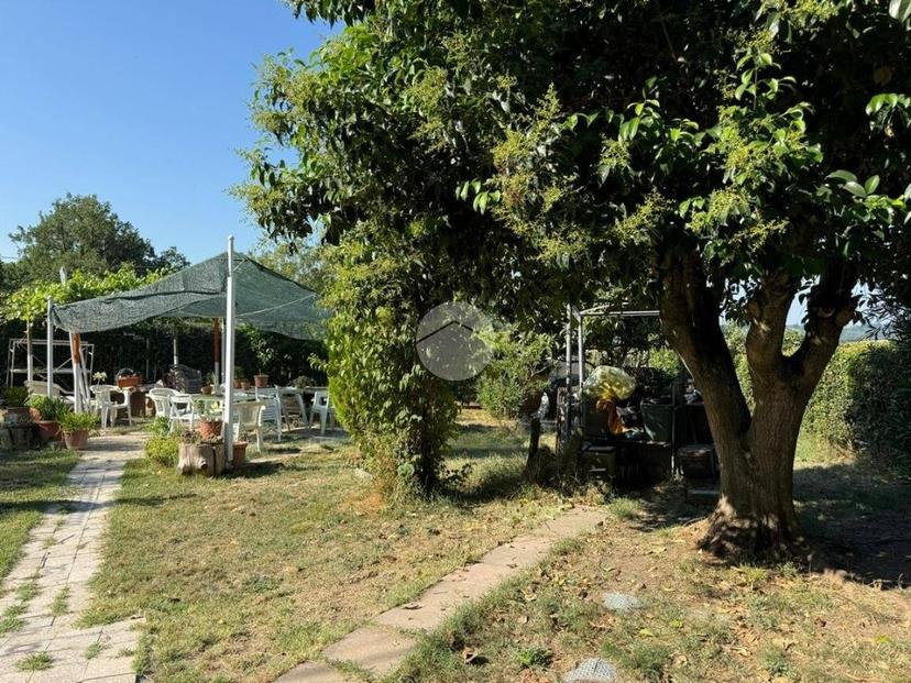 Terratetto plurifamiliare via Della Mola 5, Collevecchio — foto 6 di 19