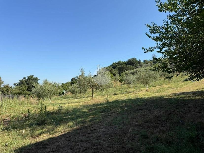 Terratetto plurifamiliare via Della Mola 5, Collevecchio — foto 8 di 19