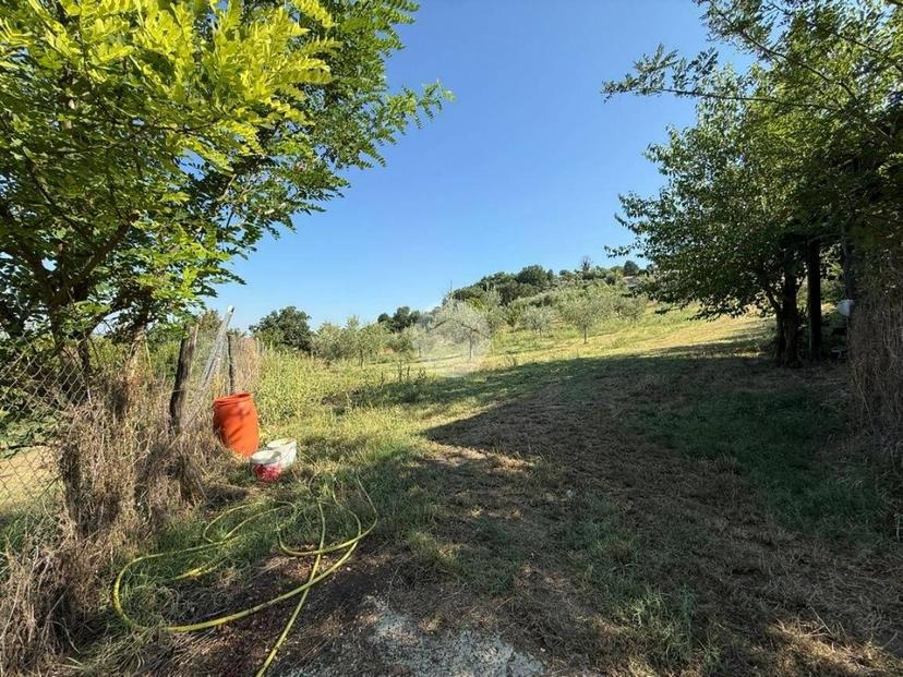 Terratetto plurifamiliare via Della Mola 5, Collevecchio — foto 15 di 19