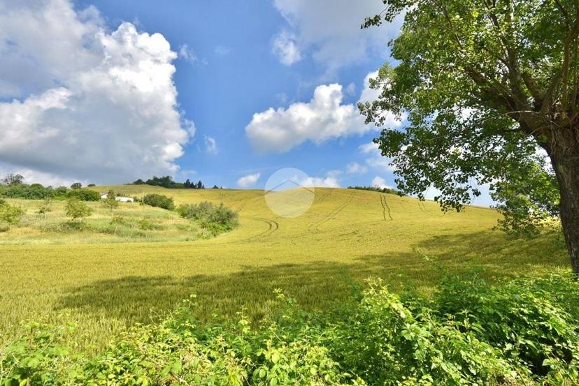 Terratetto unifamiliare via Provinciale le Uso 121, Borghi — foto 7 di 24