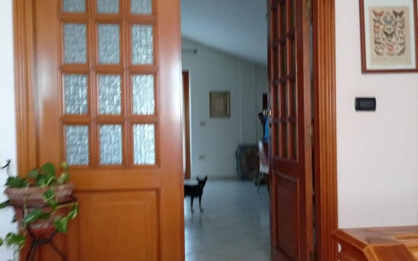 Villa bifamiliare via Giacomo Leopardi 15, Villa Verrocchio, Montesilvano — foto 96 di 127