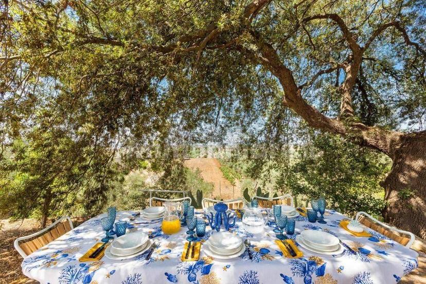 Villa unifamiliare Strada Vicinale Anna Chiara 6, Matino — foto 6 di 18