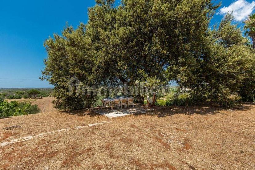 Villa unifamiliare Strada Vicinale Anna Chiara 6, Matino — foto 14 di 18
