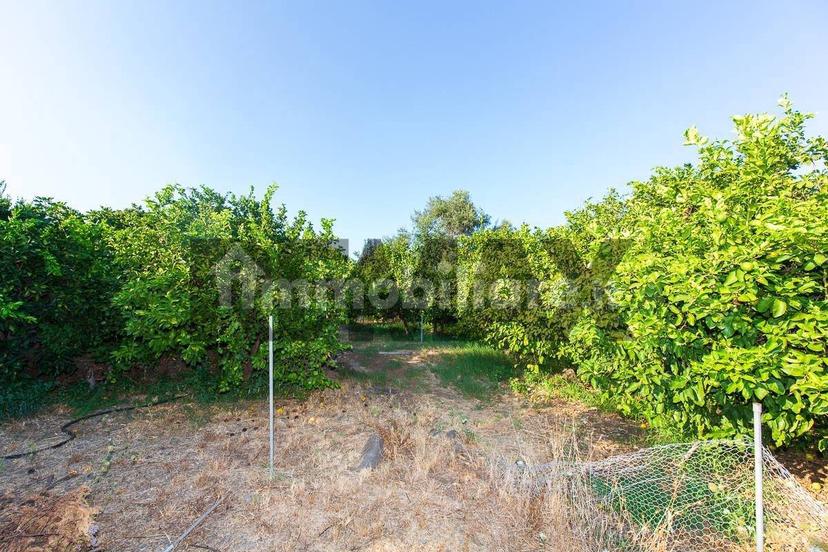 Terratetto plurifamiliare Strada 5 6, Riposto — foto 32 di 35