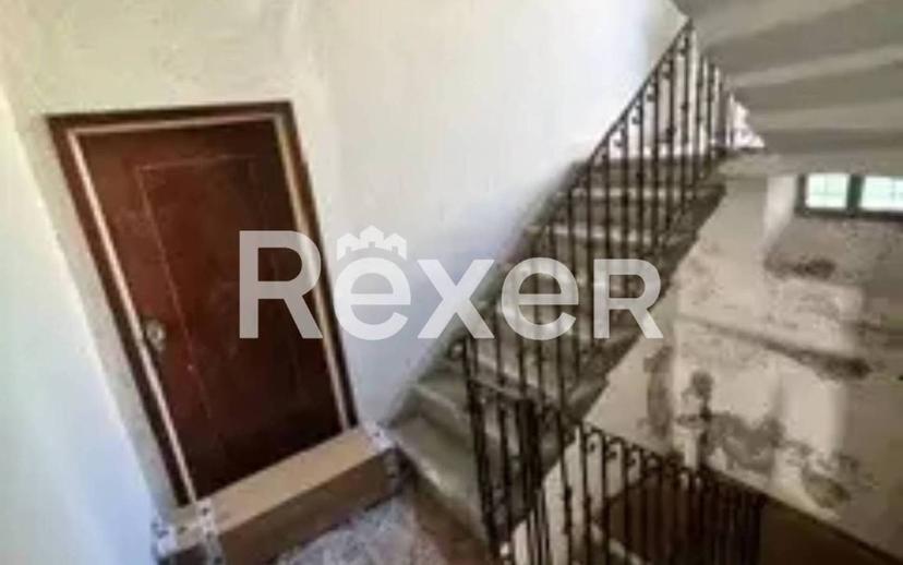 Casale via Provinciale, Centro, Castelnuovo di Garfagnana — foto 2 di 10
