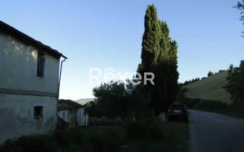 Casale via Capracchia, Notaresco — foto 4 di 10
