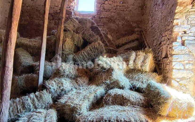 Rustico Catinelli, Fogliano, Castagnacupa, Montebibico, Strettura, Spoleto — foto 6 di 11