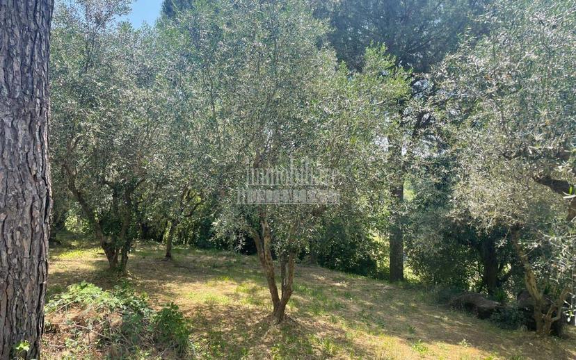 Villa unifamiliare Strada Provinciale Scansanese, Manciano — foto 3 di 36