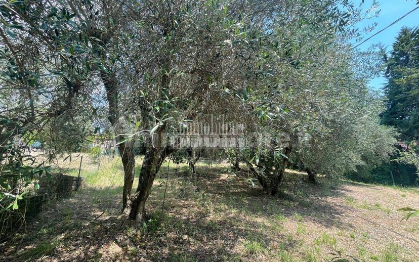 Villa unifamiliare Strada Provinciale Scansanese, Manciano — foto 15 di 36