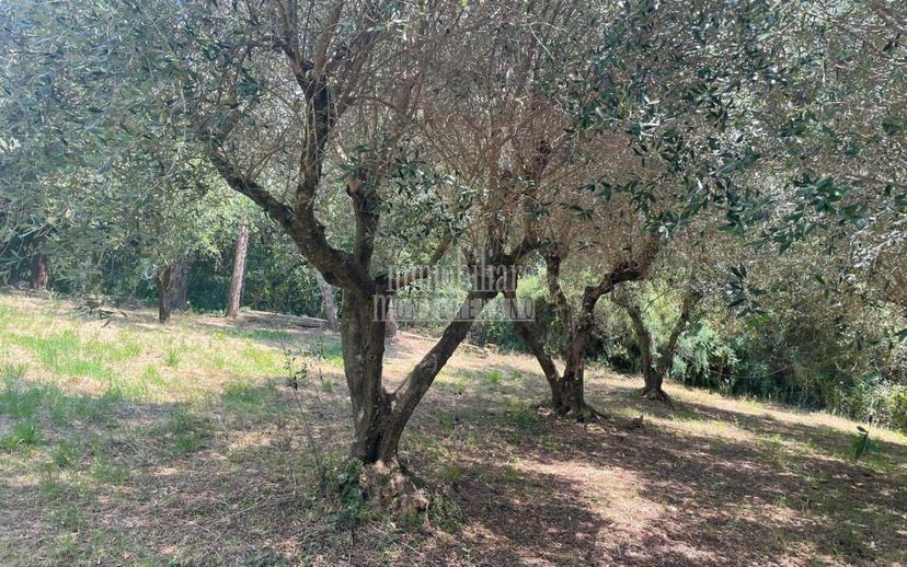 Villa unifamiliare Strada Provinciale Scansanese, Manciano — foto 13 di 36