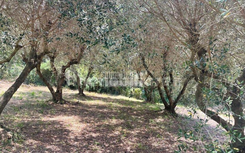 Villa unifamiliare Strada Provinciale Scansanese, Manciano — foto 32 di 36