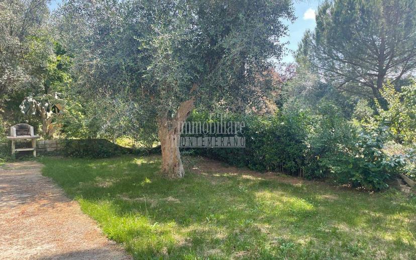 Villa unifamiliare Strada Provinciale Scansanese, Manciano — foto 19 di 36