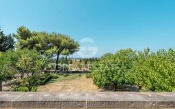 Casale piazza del Popolo, Casale Marittimo