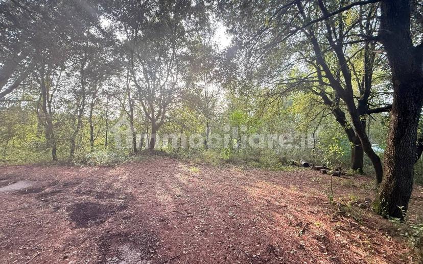 Villa unifamiliare Strada di Itieli 55, Narni — foto 37 di 49