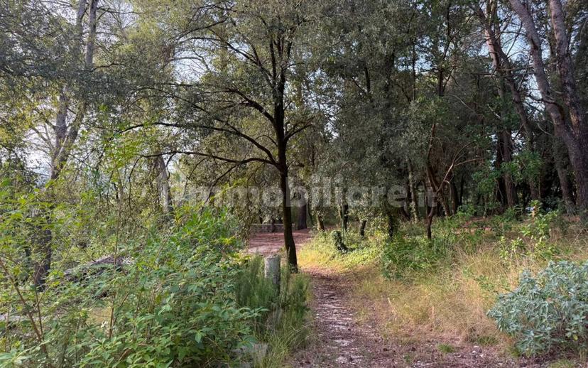 Villa unifamiliare Strada di Itieli 55, Narni — foto 48 di 49
