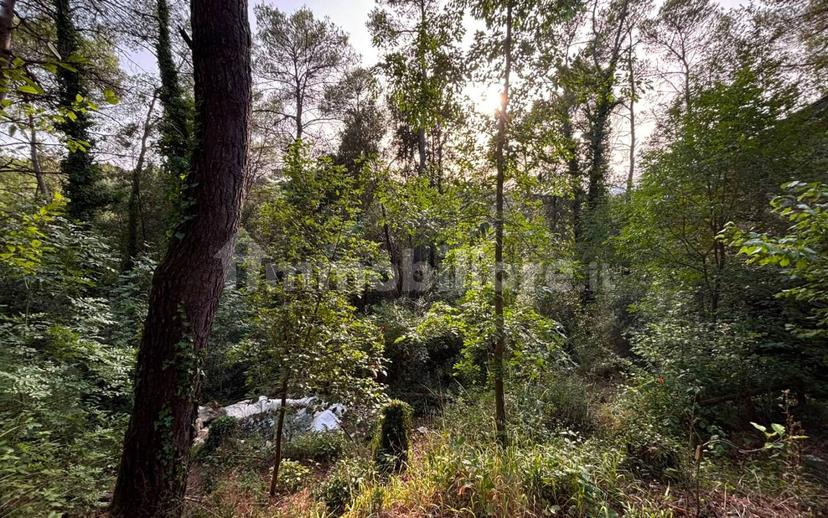 Villa unifamiliare Strada di Itieli 55, Narni — foto 7 di 49
