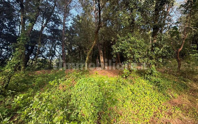 Villa unifamiliare Strada di Itieli 55, Narni — foto 42 di 49