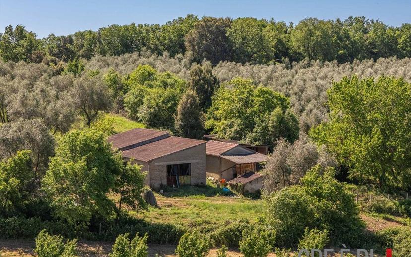 Rustico Strada Provinciale Sovana, Sorano — foto 3 di 18