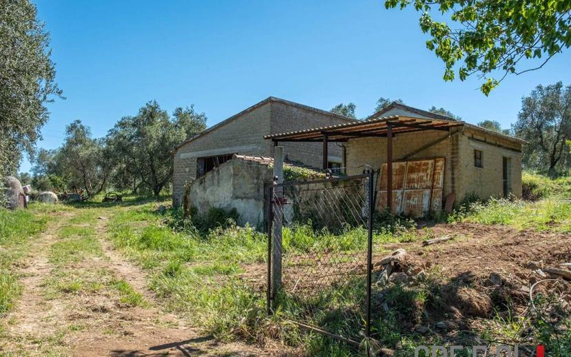 Rustico Strada Provinciale Sovana, Sorano — foto 2 di 18