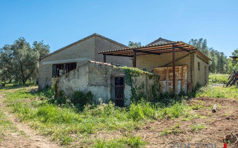 Rustico Strada Provinciale Sovana, Sorano — foto 10 di 18