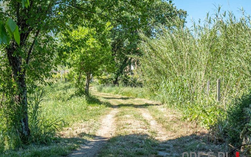 Rustico Strada Provinciale Sovana, Sorano — foto 12 di 18