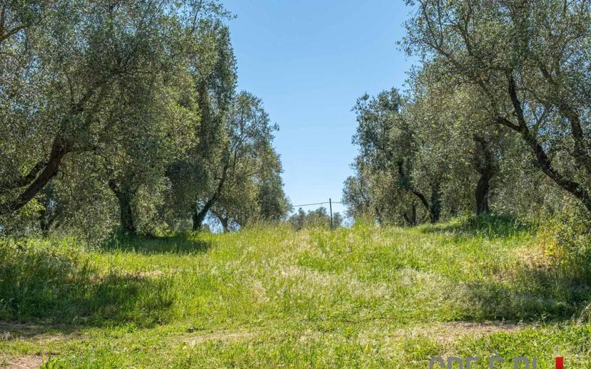 Rustico Strada Provinciale Sovana, Sorano — foto 11 di 18