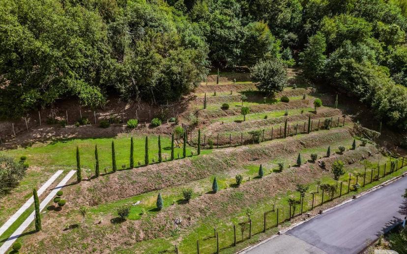 Villa unifamiliare Strada Statale del Valico del Cerreto, Fivizzano — foto 3 di 33