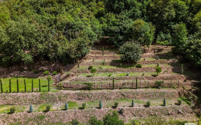 Villa unifamiliare Strada Statale del Valico del Cerreto, Fivizzano — foto 31 di 33